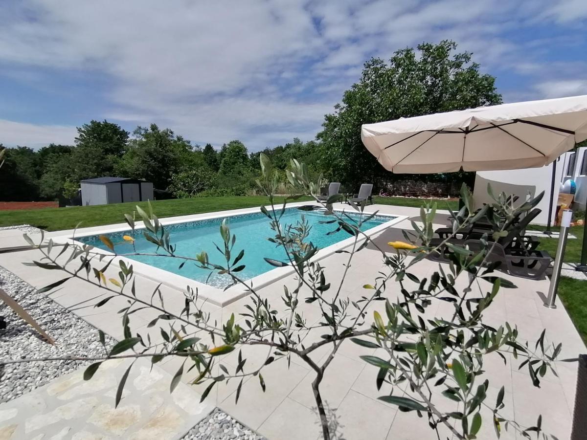 Apartman Nikola Ladrovici Exterior foto